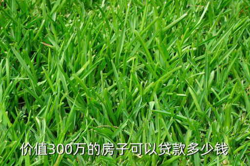 價(jià)值300萬(wàn)的房子可以貸款多少錢(qián)