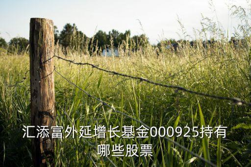 匯添富外延增長基金000925持有哪些股票