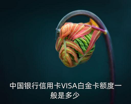 visa卡標(biāo)準(zhǔn)白金卡額度是多少，浦發(fā)visa白金信用卡的最高額度是多少