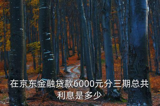 京東金融利息是多少錢，在京東金融貸款6000元分三期總共利息是多少
