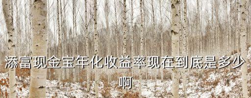 添富現(xiàn)金寶年化收益率現(xiàn)在到底是多少啊