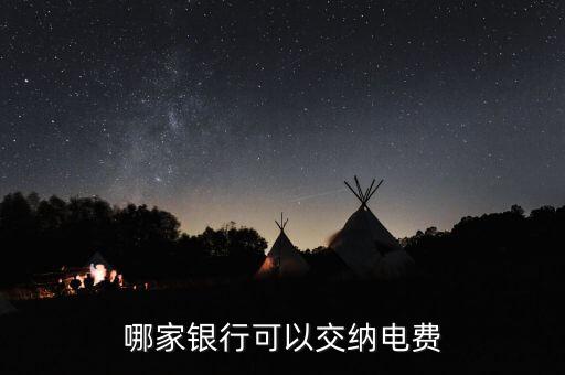 哪家銀行可以交納電費(fèi)
