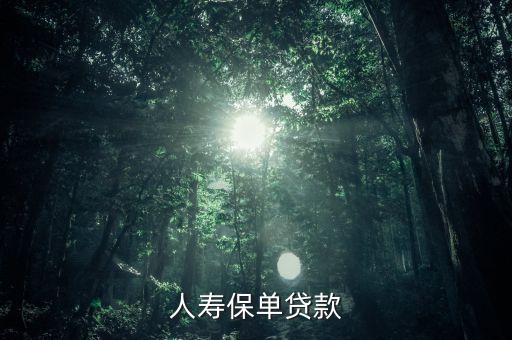 人壽保單貸款