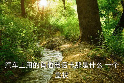 重慶面包車上都有那個卡是什么，汽車上用的有插電話卡那是什么 一個盒狀