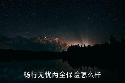 暢行無憂兩全保險怎么樣
