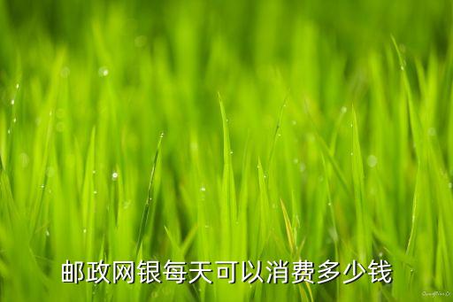 郵政網(wǎng)銀每天可以消費(fèi)多少錢