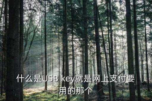 什么是USB key就是網(wǎng)上支付要用的那個(gè)