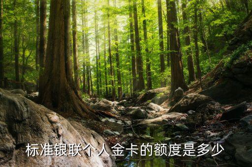 標(biāo)準(zhǔn)銀聯(lián)個(gè)人金卡的額度是多少