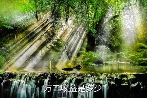 萬(wàn)三收益是多少