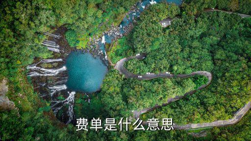 費(fèi)單是什么意思