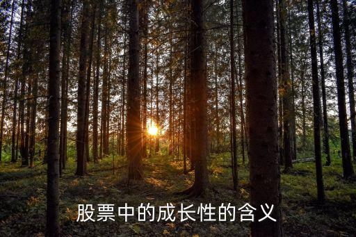 股票中的成長(zhǎng)性的含義