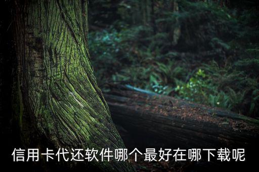 什么軟件還信用卡最快最方便，信用卡代還軟件哪個(gè)最好在哪下載呢
