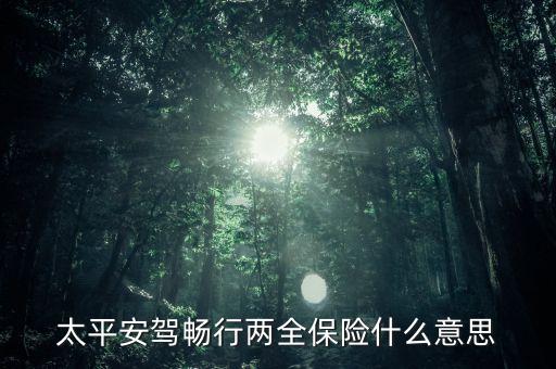 暢行兩全14是什么保險(xiǎn)，太平安駕暢行兩全保險(xiǎn)什么意思