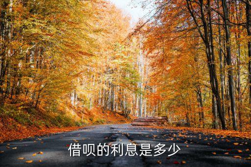 借唄的利息是多少