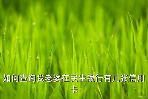 如何查詢我老婆在民生銀行有幾張信用卡