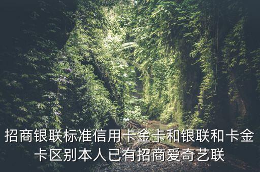 招商銀聯(lián)標(biāo)準(zhǔn)信用卡金卡和銀聯(lián)和卡金卡區(qū)別本人已有招商愛奇藝聯(lián)