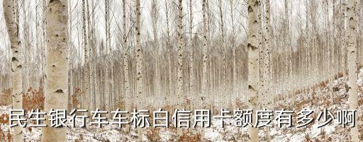 民生銀行車車標白信用卡額度有多少啊