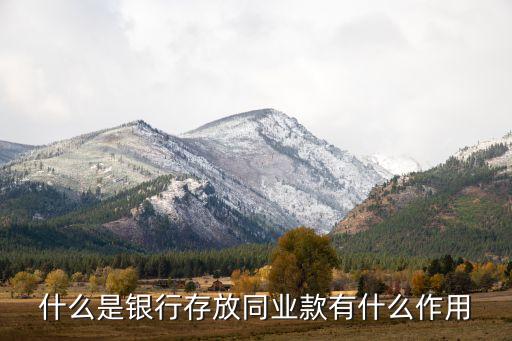 存放同業(yè)款屬于什么，同業(yè)存款是什么類科目