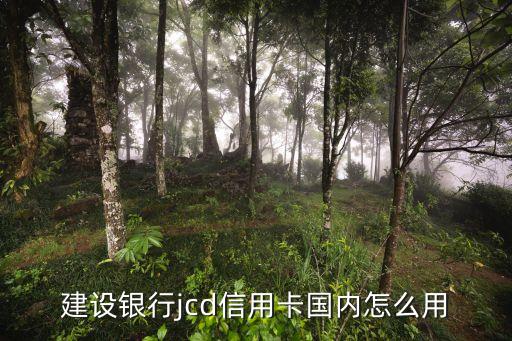 變形金剛4信用卡有什么用，鐵臂阿童木信用卡有哪些功能了