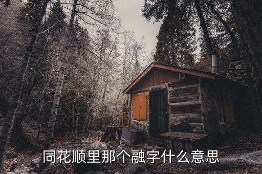 同花順里那個融字什么意思