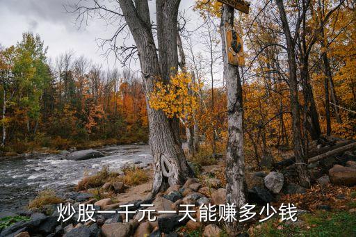 1000股票能賺多少錢，炒股一千元一天能賺多少錢