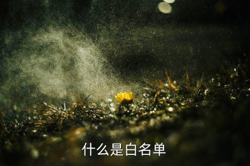 白名單 ico 是什么，什么是白名單