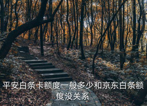 平安白條卡額度一般多少和京東白條額度沒關(guān)系
