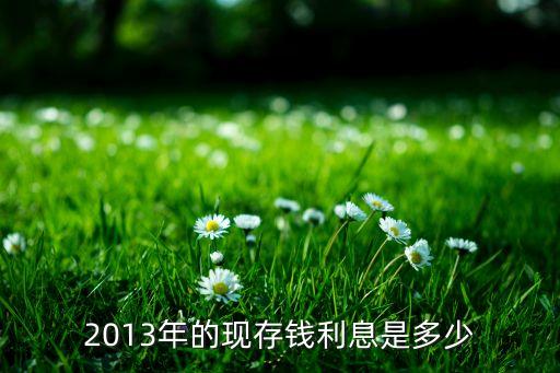 2013年的現(xiàn)存錢利息是多少