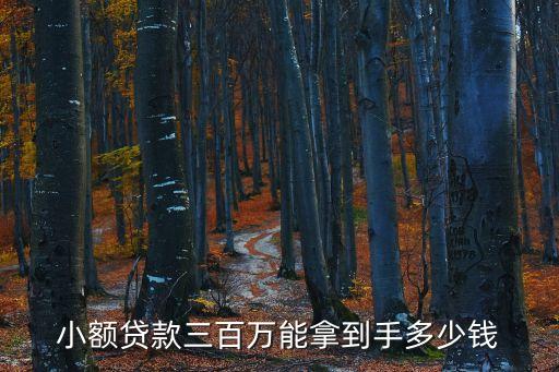 小額貸款三百萬(wàn)能拿到手多少錢(qián)