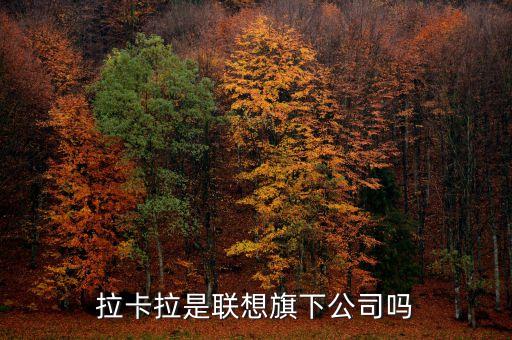 拉卡拉什么東西，為什么現(xiàn)在好多賣手機的都不懂手機拉卡拉是什么呢請問市場上哪里
