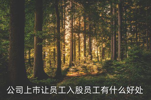 公司上市讓員工入股員工有什么好處