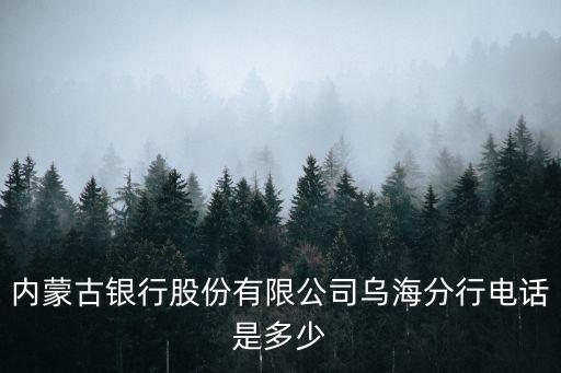 內(nèi)蒙古銀行股份有限公司烏海分行電話是多少