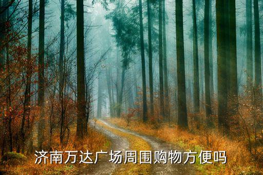 濟(jì)南萬達(dá)廣場周圍購物方便嗎