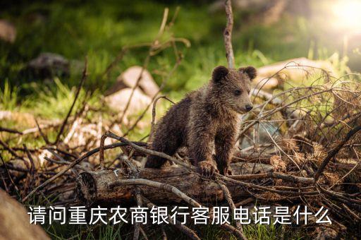 請問重慶農(nóng)商銀行客服電話是什么