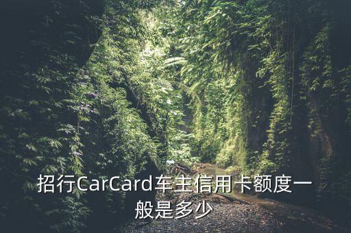 招商銀行汽車etc信用卡額度是多少，招行etc信用卡額度一般是多少