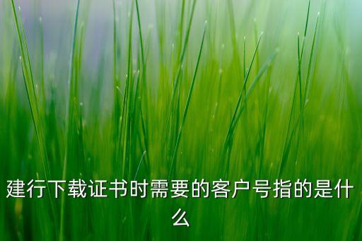 建行下載證書時需要的客戶號指的是什么