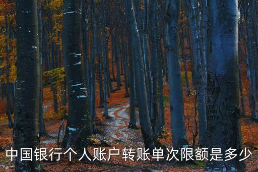 中國銀行個人賬戶轉(zhuǎn)賬單次限額是多少