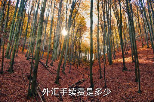 招行購(gòu)美元手續(xù)費(fèi)多少，購(gòu)買(mǎi)外匯手續(xù)費(fèi)怎么算