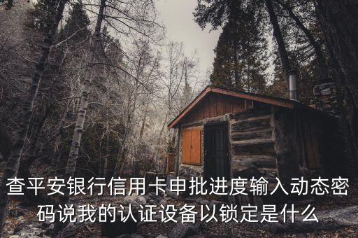 認證鎖定是什么意思，查平安銀行信用卡申批進度輸入動態(tài)密碼說我的認證設備以鎖定是什么