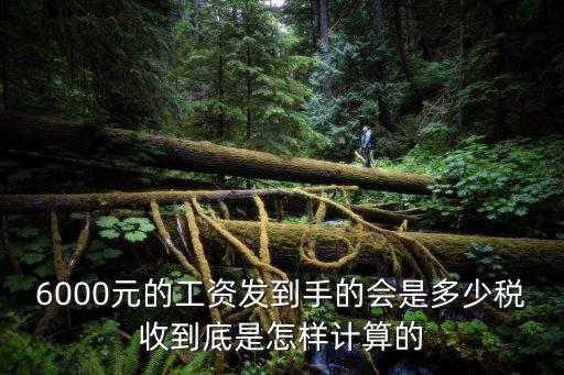 6000元的工資發(fā)到手的會(huì)是多少稅收到底是怎樣計(jì)算的