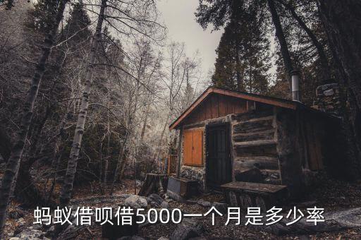 螞蟻借唄借5000一個(gè)月是多少率