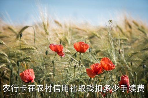 四川農(nóng)村信用社取款手續(xù)費(fèi)多少，在農(nóng)村信用社銀行取100元錢要多少手續(xù)費(fèi)
