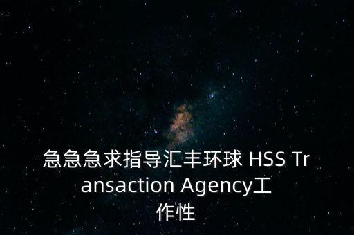 匯豐環(huán)球 信貸 做什么的，急急急求指導(dǎo)匯豐環(huán)球 HSS Transaction Agency工作性