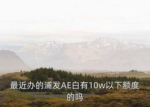 最近辦的浦發(fā)AE白有10w以下額度的嗎