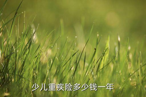 少兒重疾險多少錢一年