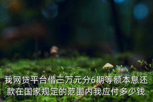我網(wǎng)貸平臺(tái)借三萬(wàn)元分6期等額本息還款在國(guó)家規(guī)定的范圍內(nèi)我應(yīng)付多少錢