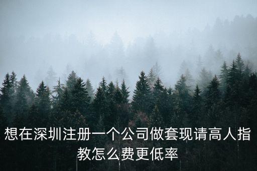 想在深圳注冊一個公司做套現(xiàn)請高人指教怎么費(fèi)更低率