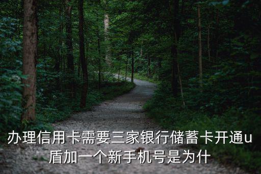 辦理信用卡需要三家銀行儲(chǔ)蓄卡開(kāi)通u盾加一個(gè)新手機(jī)號(hào)是為什