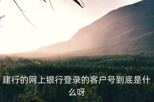 建行的網(wǎng)上銀行登錄的客戶號到底是什么呀