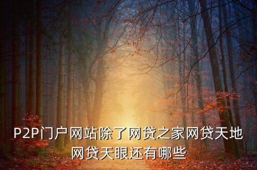 P2P門戶網(wǎng)站除了網(wǎng)貸之家網(wǎng)貸天地網(wǎng)貸天眼還有哪些